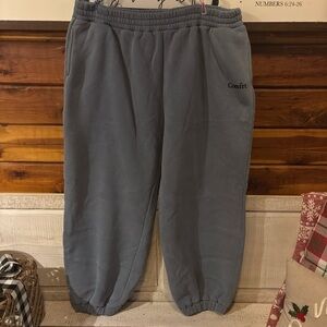 Comfrt Blue Sweatpants